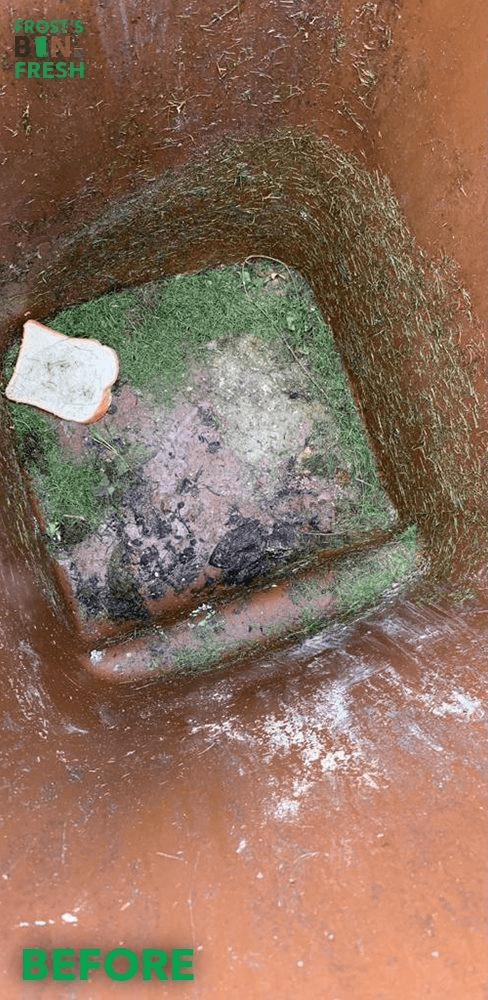 Dirty wheelie bin interior before professional cleaning